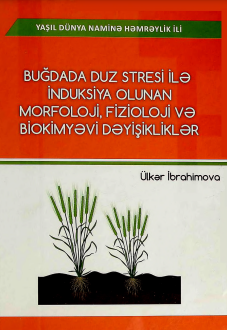 Buğdada duz stresi ilə induksiya olunan morfoloji, biokimyəvi və fizioloji dəyişikliklər
